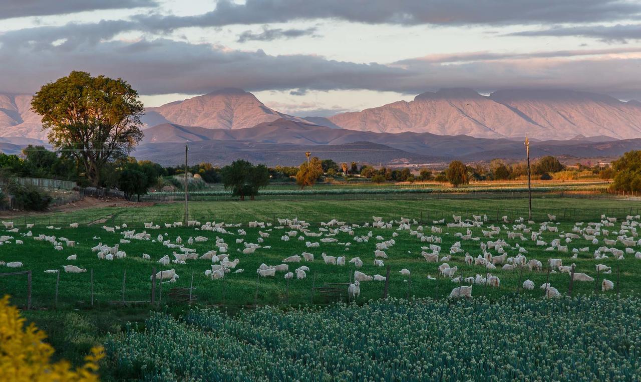Sonas Boutique Guest House Oudtshoorn Buitenkant foto